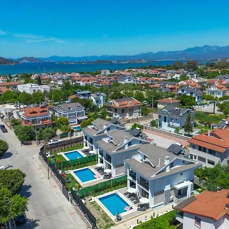 White Palm 1 * フェティエ