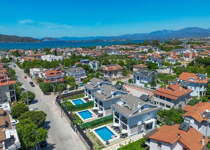 White Palm 1 * フェティエ