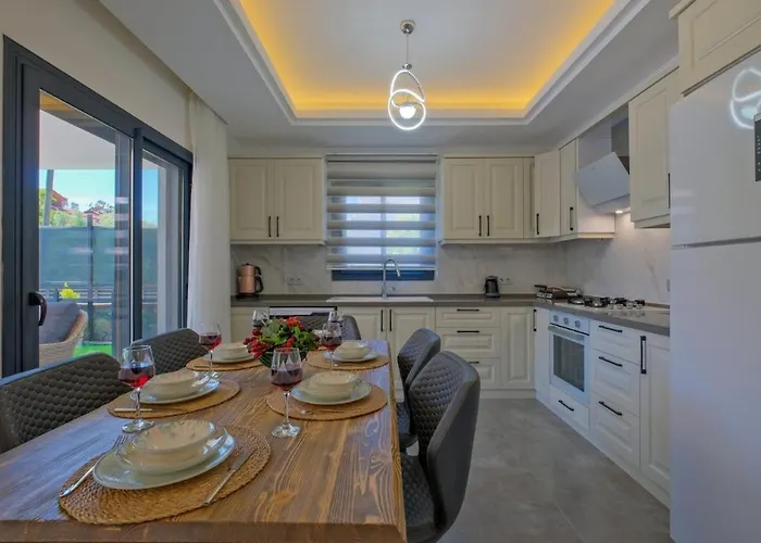 White Palm 1 フェティエ